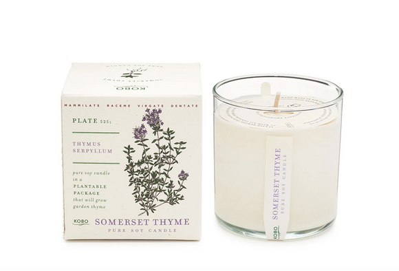 Plant the Box Pure Soy Candle in Scent Somerset Thyme | Kobo